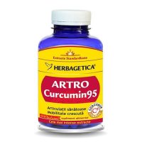 Artro Curcumin 95 Herbagetica 120cps