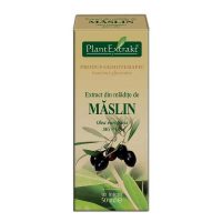 Extract Mladite Maslin Plantextrakt 50ml