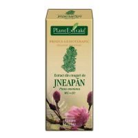 Extract Muguri Jneapan Plantextrakt 50ml