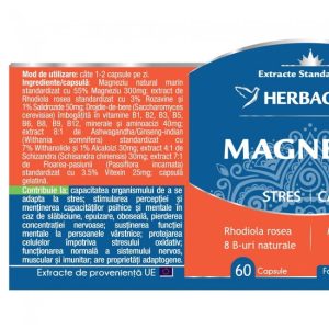 MagneZen Herbagetica 60cps